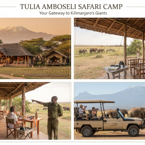 Tulia Amboseli Safari Camp