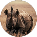 Simon Muriuki profile picture