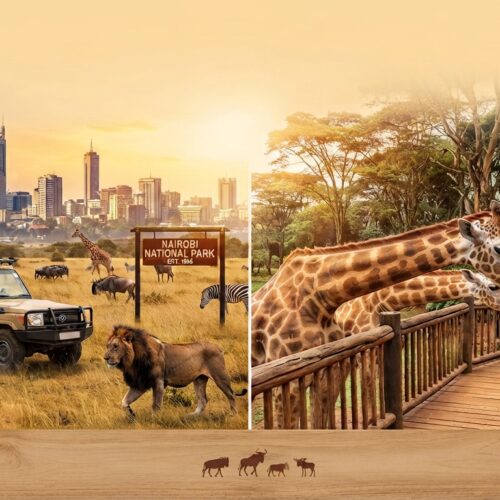 1-Day Nairobi National Park & Giraffe Centre Safari: Wildlife in the City