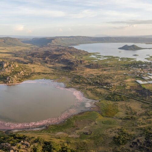 2-Day Lake Nakuru & Naivasha Weekend Birding & Wildlife Trip